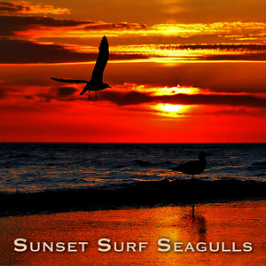 Sunset, Surf & Seagulls