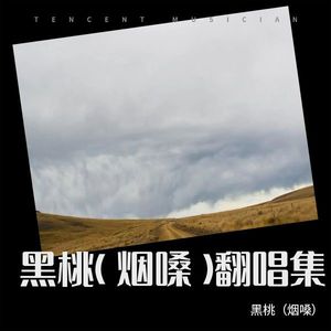 姑娘别哭泣 - 黑桃（烟嗓）封面