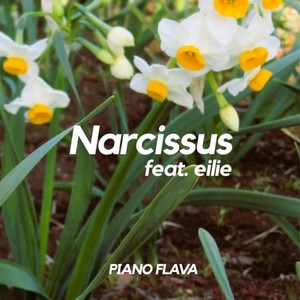 Narcissus (feat. eilie)