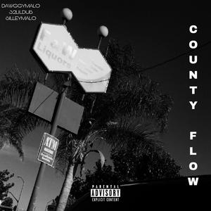 COUNTY FLOW (feat. DAWGGYMALO & LILDUB32) (Explicit)