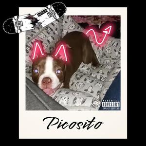 Picosito (feat. Joe Cutter & Cal Paradox) (Explicit)
