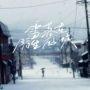 雪落在陌生的城