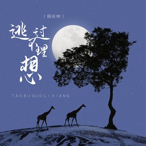 逃不过理想 - 杨东林封面
