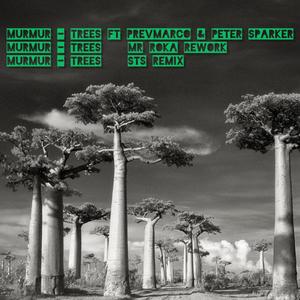 TREES (feat. PREVMARCO & PETER SPARKER) (MR ROKA Remix|Explicit)