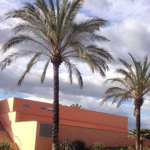 love is Gone (Remix)