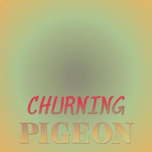 Churning Pigeon