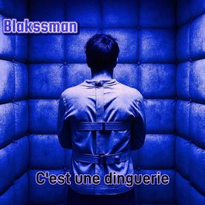 C'est une dinguerie (Explicit)