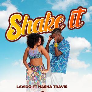 Shake It(feat. Nasha Travis)