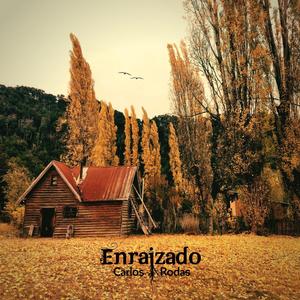 Enraizado