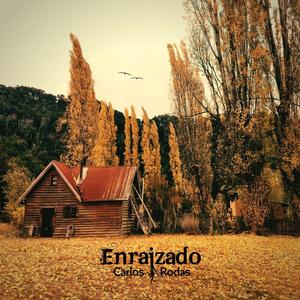 Viaje (feat. David Latorre)