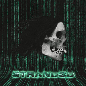 Strand3d (Explicit)