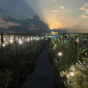 Calabasas (Explicit)