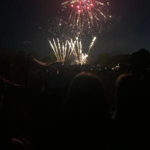 Wont Leave (Explicit)