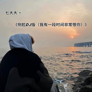 侧脸 (我有一段时间非常恨你) (DJ版)
