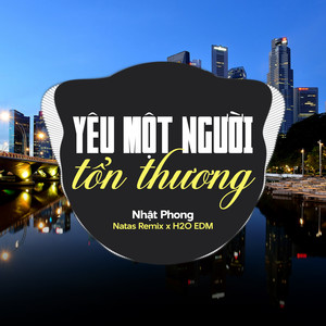 Yêu Một Người Tổn Thương (EDM)