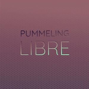 Pummeling Libre