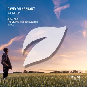 Wonder (Subalpine Remix)
