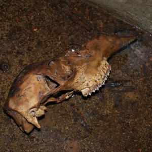 You Do It All Wrong (Explicit)