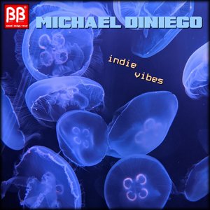 Indie Vibes (Extended Mix)