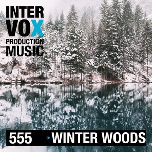 Frosty Forest