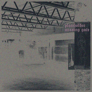 missing gate