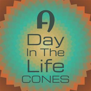 A Day In The Life cones