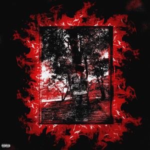 how i roll (feat. ashes) (Explicit)
