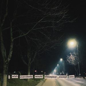 i wish everybody would disappear except you.