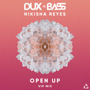 Open Up (Vip Mix)