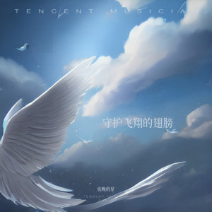 守护飞翔的翅膀