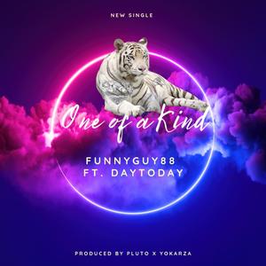 One of a Kind (feat. DAYTODAY) [Radio Edit]