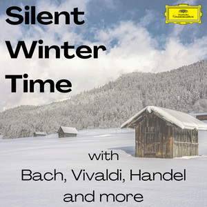 Concerto grosso in E Minor, Op. 3/4, RV. 550 - Vivaldi: Concerto grosso in E Minor, Op. 3/4, RV. 550: III. Adagio - IV. Allegro
