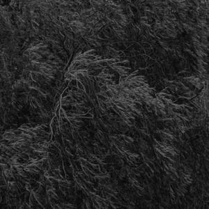 PAUL WALKER (Explicit)