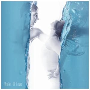 The World Of Illustration