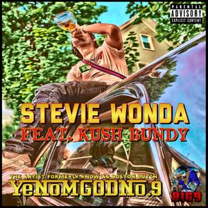 Stevie Wonda (Explicit)