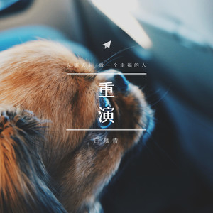 愿山海皆平 (DJ版)