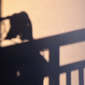 Dream 飞翔版 (Demo)