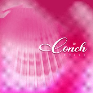 拾Conch