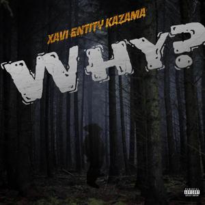 Why? (Explicit)