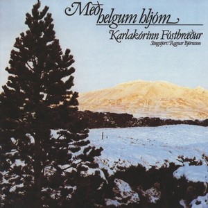 Hin fegursta rósin er fundin