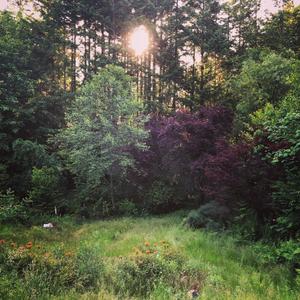 nevergoback (Explicit)