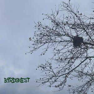 BirdsNest (Explicit)