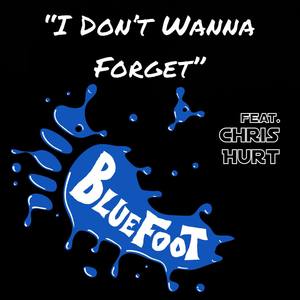 I Don't Wanna Forget (feat. Chris Hurt) - Single