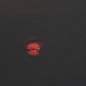 无尘之地 (伴奏)