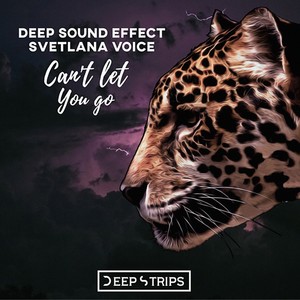 Deep Sound Effect - Begu Ot Tebya (Original Mix)