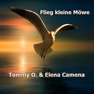 Flieg kleine Möwe