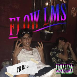 Flow LMS (Explicit)