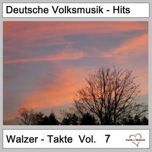 Deutsche Volksmusik-Hits: Walzer-Takte, Vol. 7