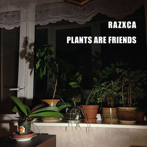 Plants Are Friends