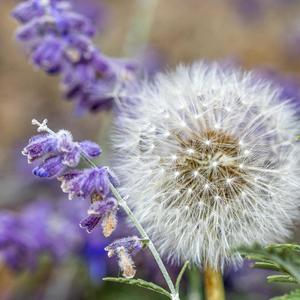 leave her (feat. Wishlyst)